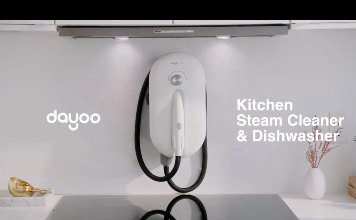 China Dayoo handheld High Temperature Pressure Speed Energy water saving Efficiently remove oil stains small Steam Dishwasher