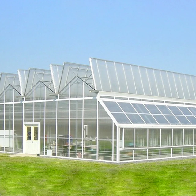 Economic Tunnel Plastic Greenhouse for Vegetable