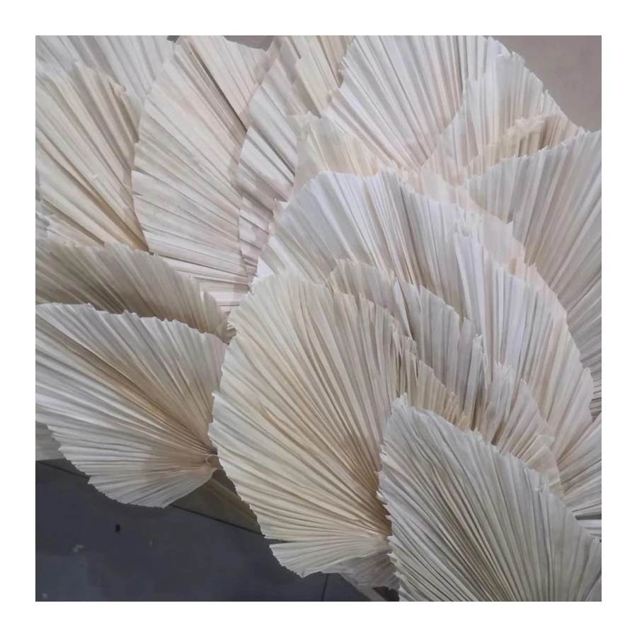 
Instagram popular dried flower natural Dried white palm leaves for Wedding Decoration Flower 