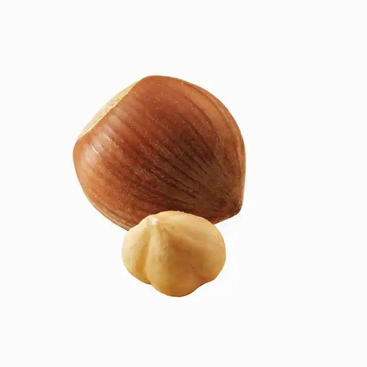 Wholesale Chinese Delicious Hazelnut with Grade a for  chocolate hazelnut spread