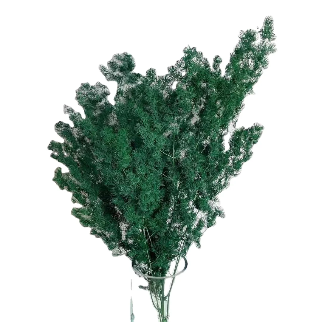 Hot Bouquet with materials Dried preserved Asparagus myrioeladus ming fern For Decoration