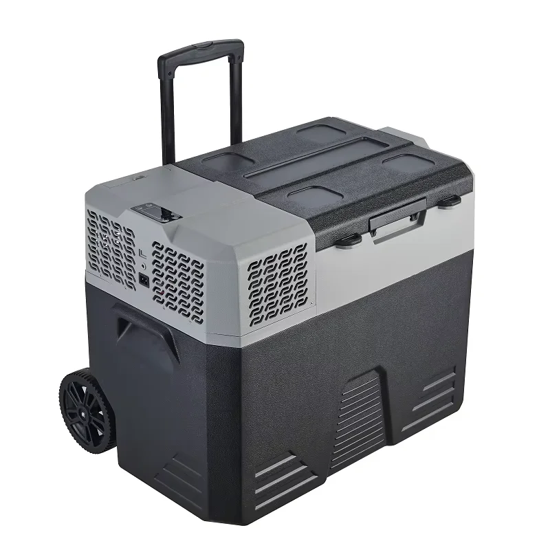 42L 52L 62L Compact Refrigerators Portable DC 12v 24V Compressor Refrigerator Car Fridge Freezer With Dual Zone for Camping