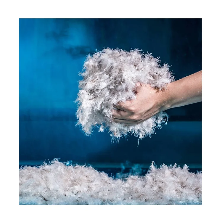 
Wholesale High Quality Washed 60% Gray Duck Down Feather Down Raw Material From China 