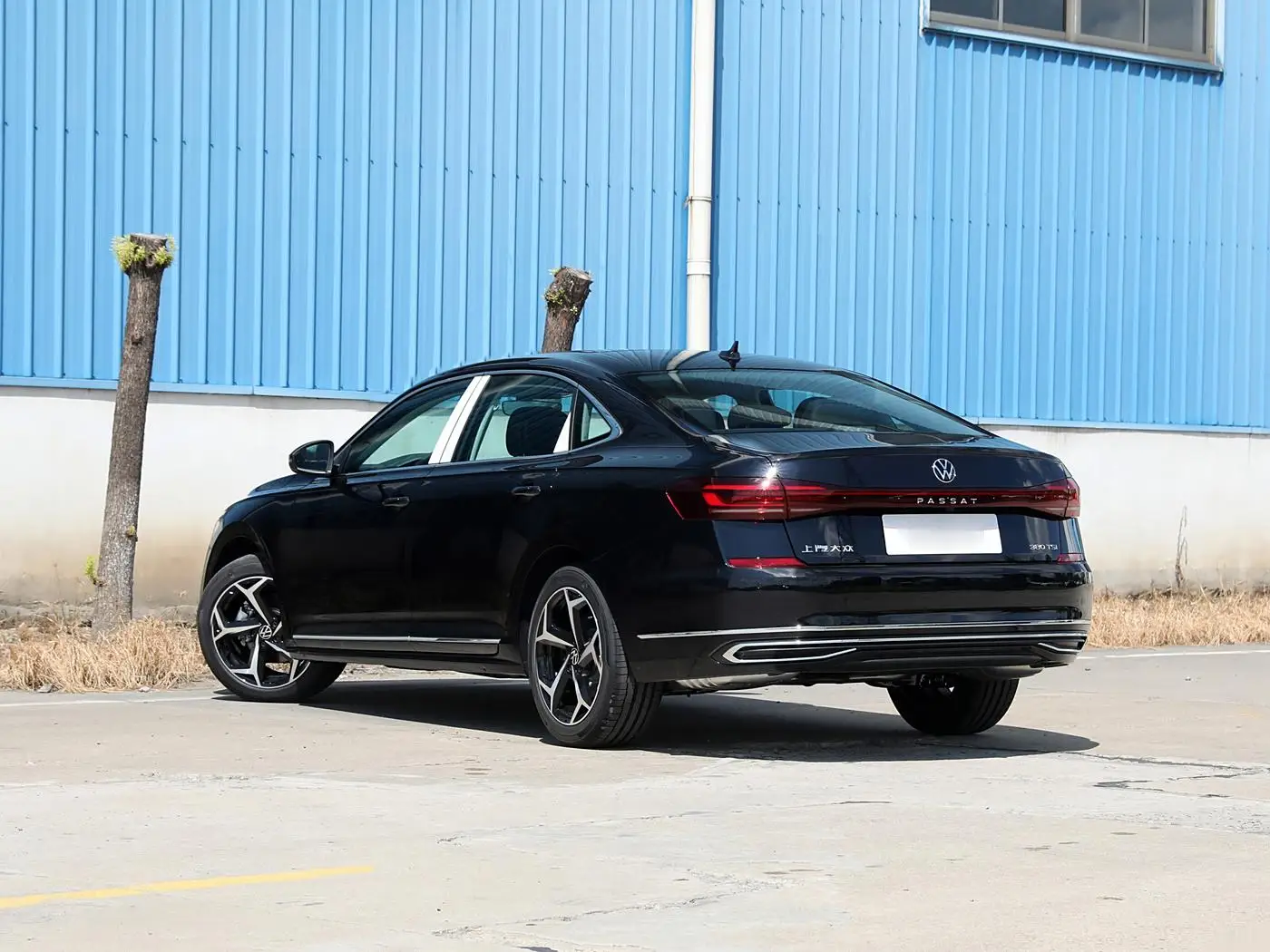 VW PASSATs 2025 модель выдающаяся версия 380TSI звездное небо Дракон новый бензиновый автомобиль хорошая цена 9-го поколения