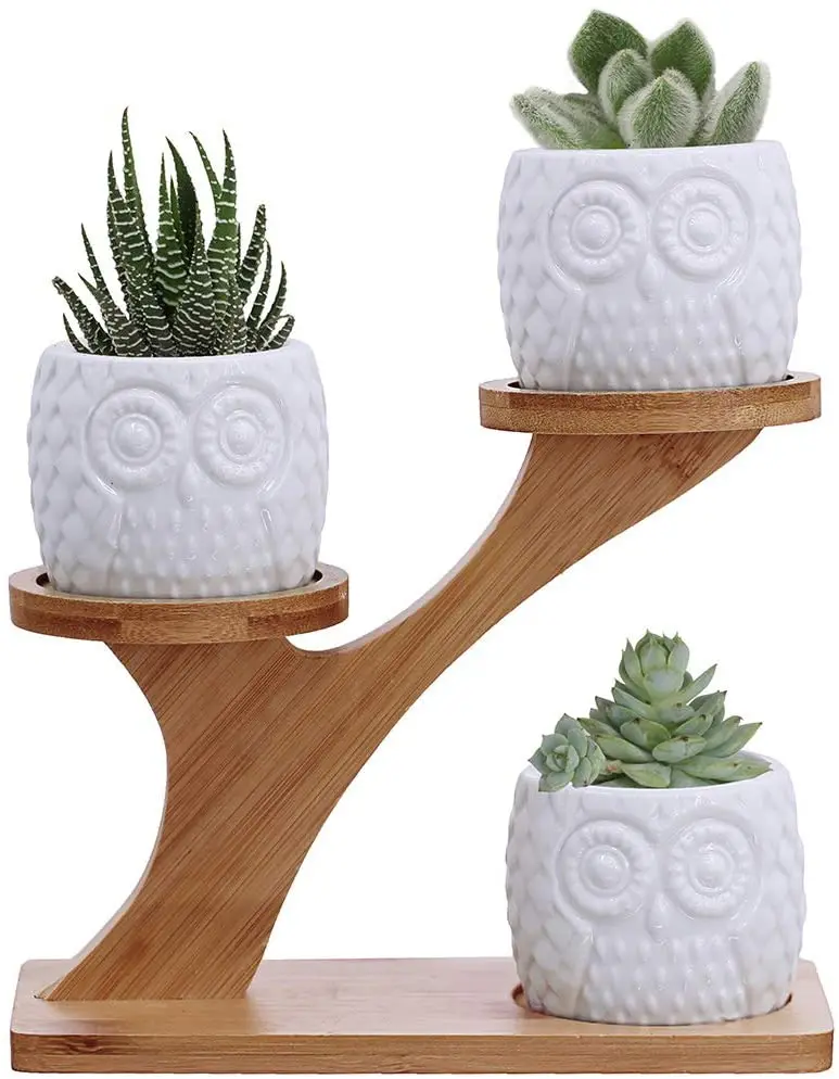 3pcs Owl Succulent Pots with 3 Tier Bamboo Saucers Stand Holder -White Modern Decorative Ceramic Flower Planter Plant Pot