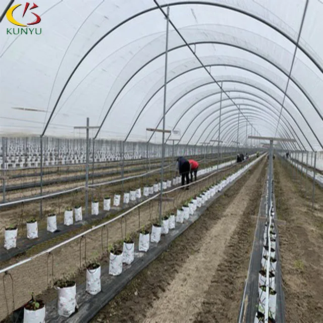 KY Thailand Project 100% Blackout System Medical Plant Hemp Polycarbonate Blackout Greenhouse For Hemp Planting