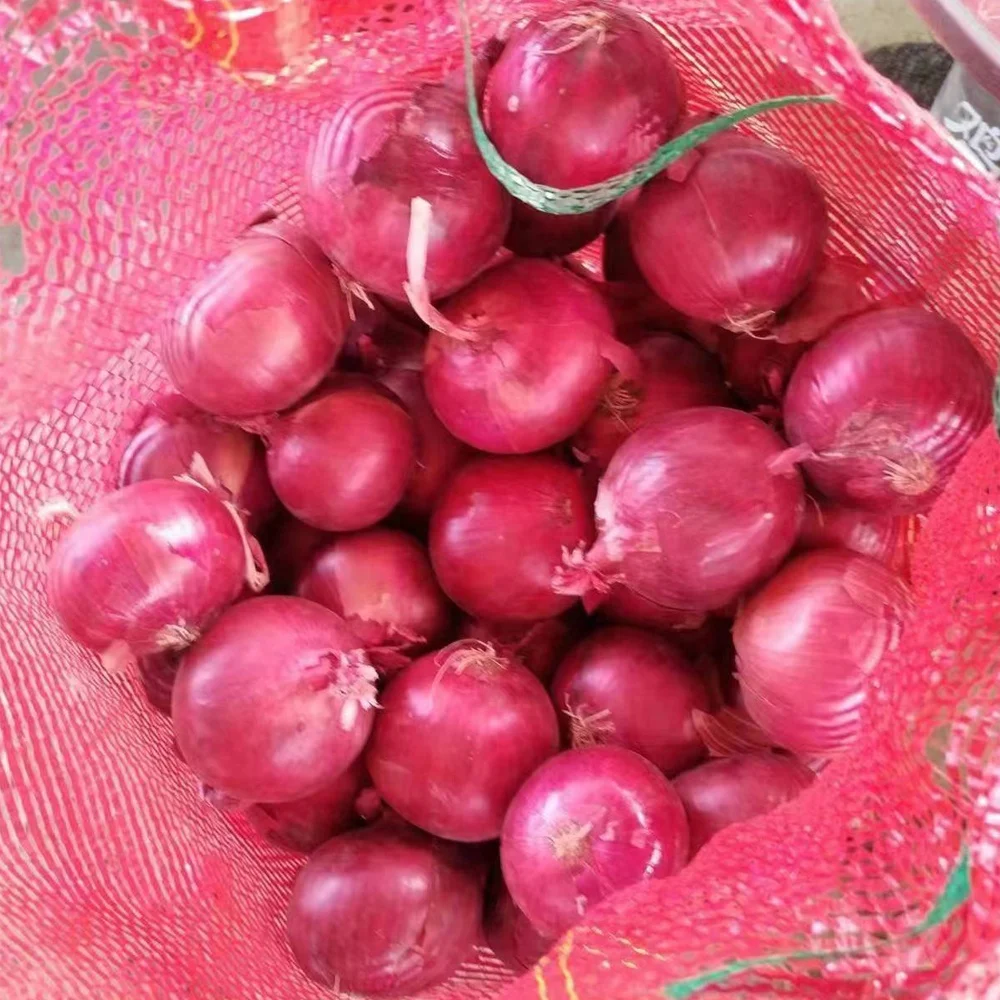 Buy Red Onion Chinese Fresh Yellow Onion Mesh Bag Price