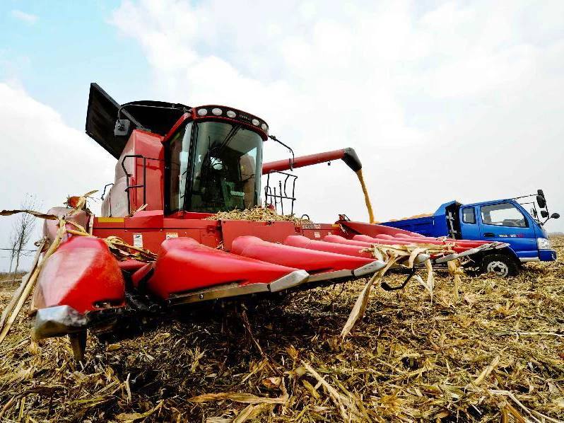 Chinese Brand Weichai 80 HP Wheel Combine Harvester GE80 for Sale