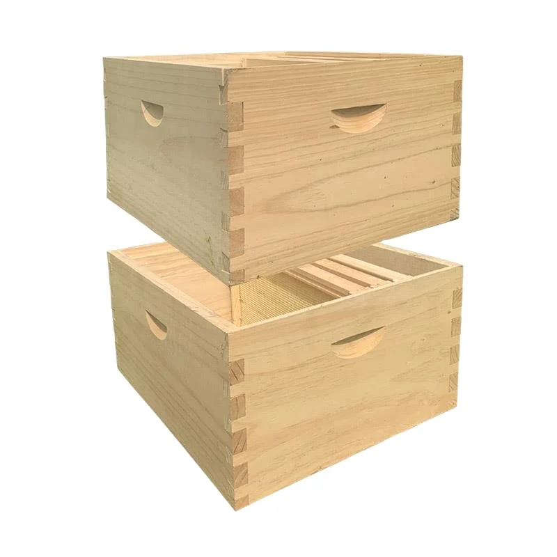 2020 new wholesale beekeeping bee hive wooden bee box