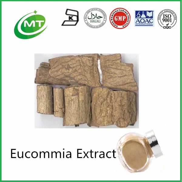 Free Sample Eucommia ulmoides Leaf /Eucommia ulmoides Bark/Eucommia Extract Powder