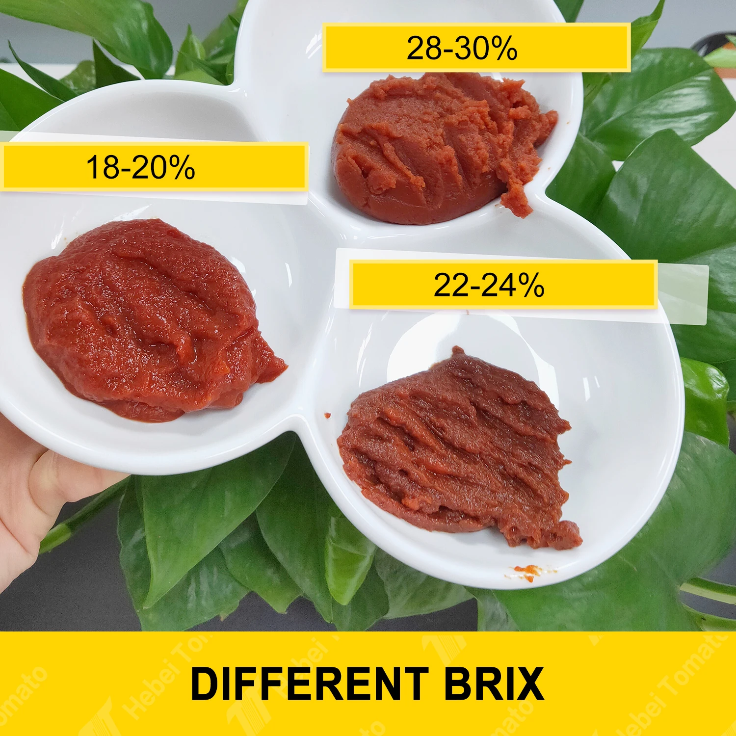 Hot Sale Tomato Paste Easy Open Canned 28-30% 70g 210g 400g 800g 2200g Tin Packing Pure Tomato Paste Canned Food Pasta Canned
