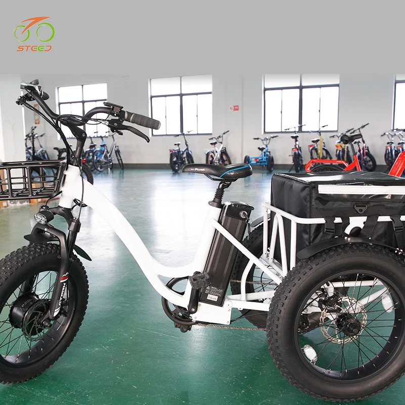 Steed 48 volt  battery cargo ebike 48v 3 wheels electric bike bicycle electric cargo