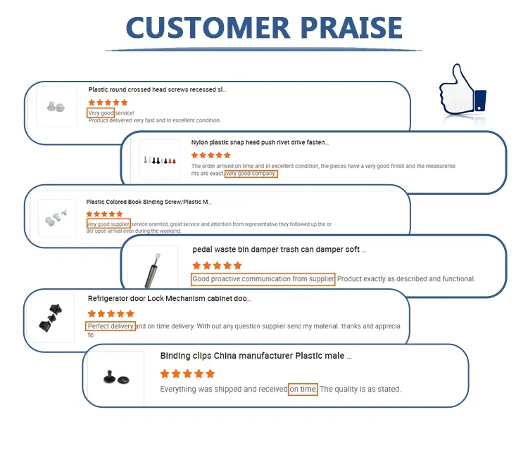 ALF-1 Ready to ship Self-Adhesive Wire Tie Cable Clamp Plastic Fixation Clips Electric Wire Organizer Wiring Accessories