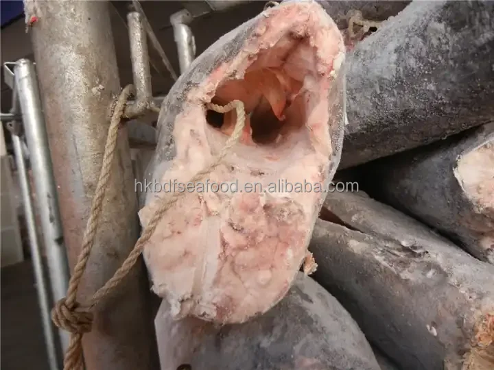 Frozen Oil Fish  Lepidocybium Flavobrunneum  HGT  Smooth Skin Oil Fish