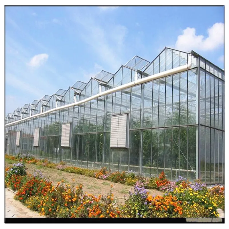 China Factory Price Galvanized Steel Frame Tomato Strawberry Growing Multi Span