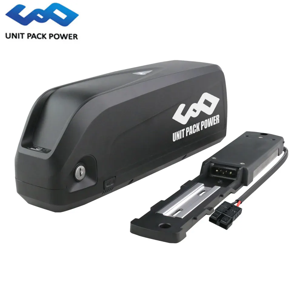 Electric Bicycle Battery Hailong Ebike Battery Cells 20A 30A 40A 750W 1000W 1200W 1500W Motor BMS for Lithium Battery