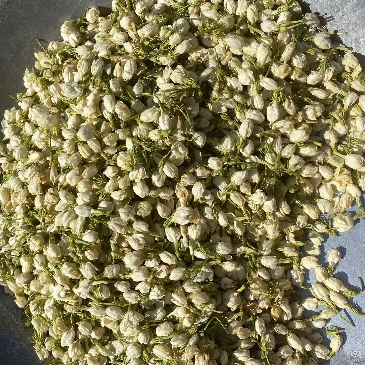 New Harvest Hot Sale Herbs Dried Flower Buds Jasmine Blooming Tea Herbal Tea