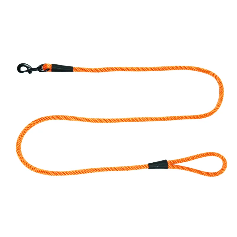 Dog Leash PP Polyester Nylon Cotton Webbing Organic Hemp with Rivet Pattern Sustainable Solid Design Running SS 10 Colors Option