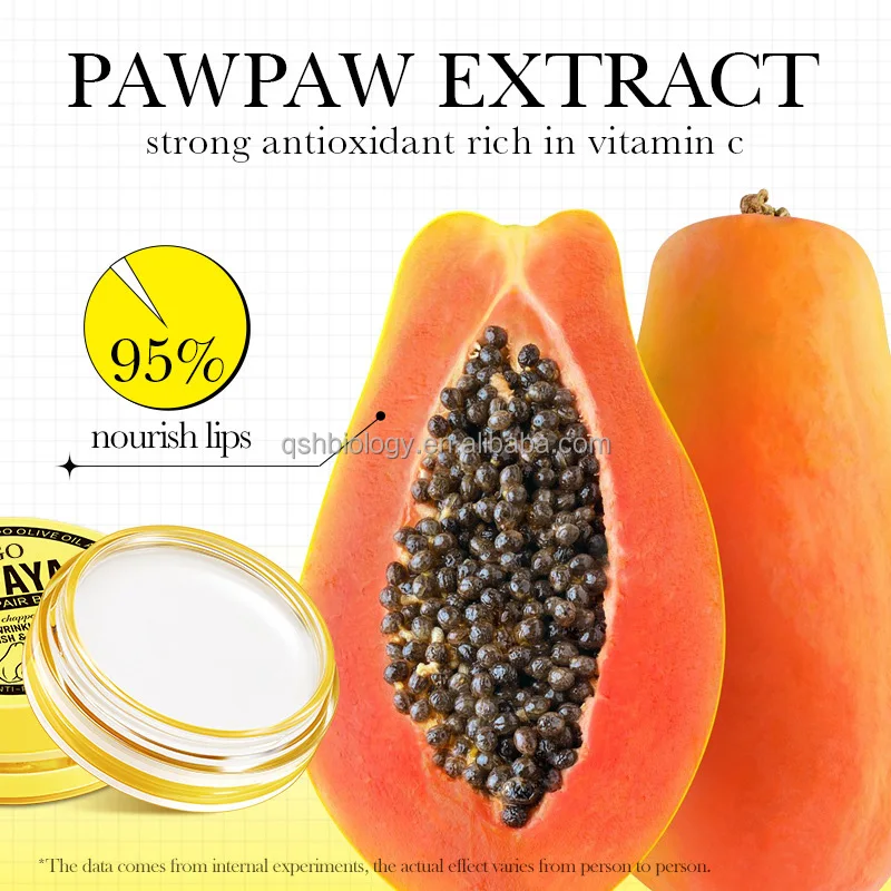 Custom Logo 6g Lips Soothing Moisturizing Balm Lip Wrinkles Reducing Papaya Lip Repair Balm