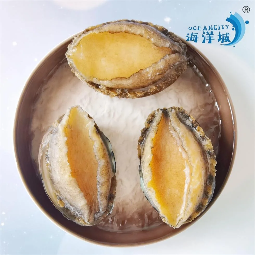 Оптовая Продажа с фабрики китайский продукт вкусные морепродукты моллюски морское ушко для продажи