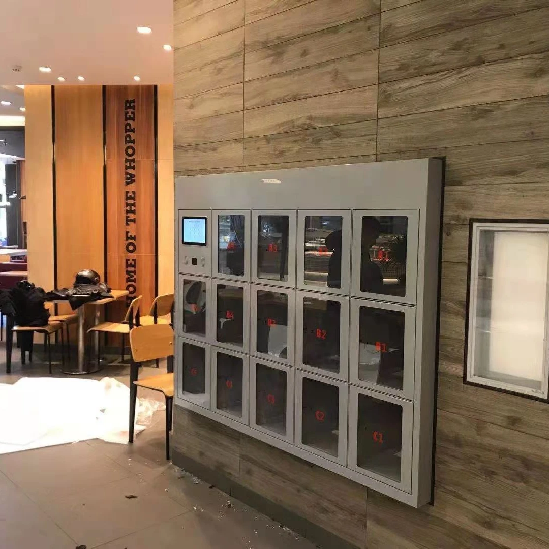 AUV 15 Doors Electronic Metal Storage Cabinets Smart Container E Lockers Box for Restaurant or School