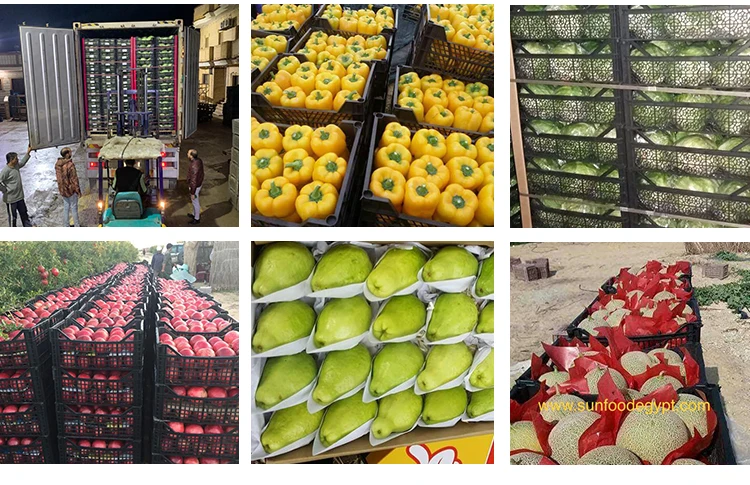 fruit-vegetable_12.jpg
