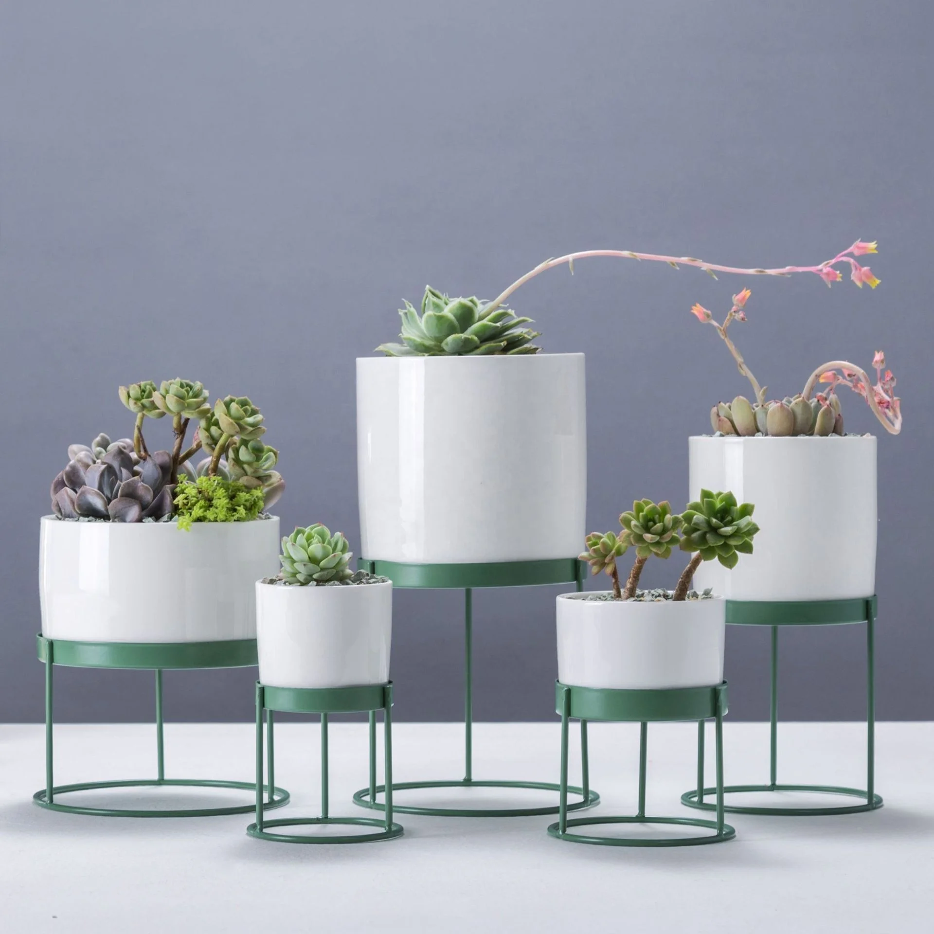 Nordic Simple Creative Positive and Negative Use Cylindrical Pot Multi-flesh Colored Iron Frame Ceramic Flower Pot