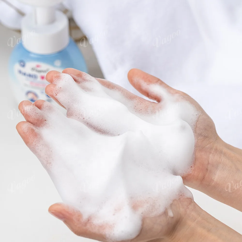 OEM Factory Fragrance Mild Hand Liquid Soap Antibacterial Bubble Foam Hand Wash