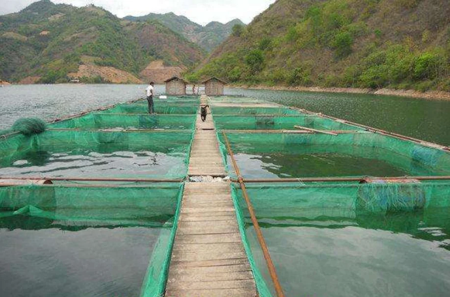 PE Anti-Storm Trout Fish Aquaculture Circular-shape Floating HDPE Fish-farming Cages in Deep Sea