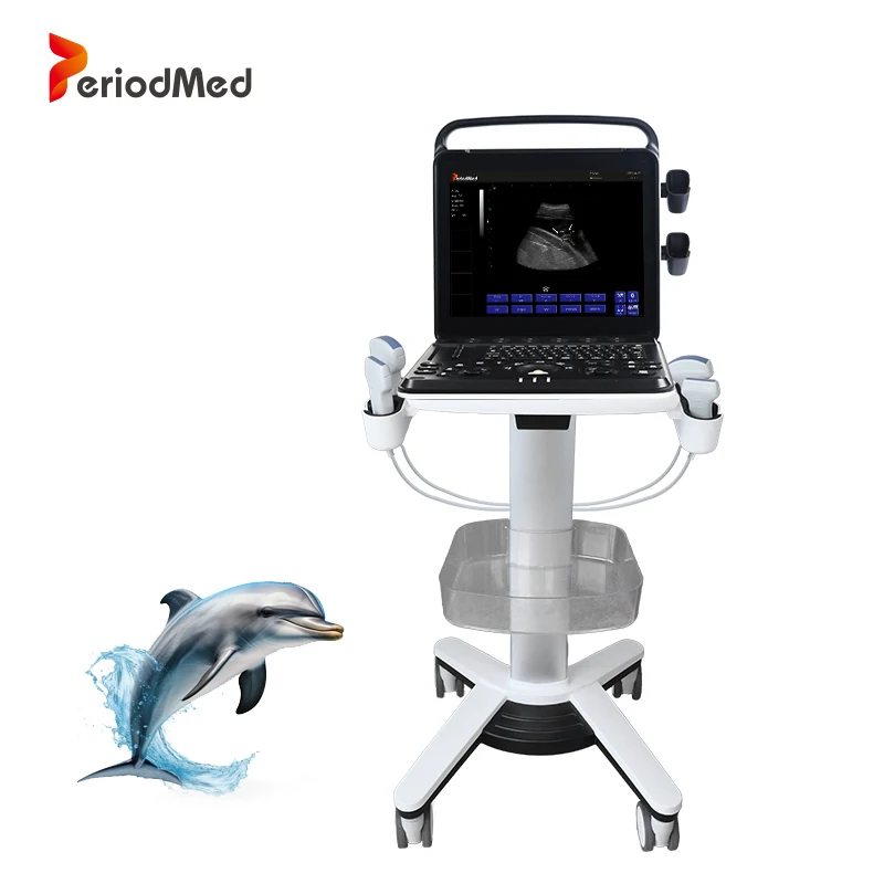 Periodmed portable dolphin animals vet veterinary ultrasound handheld scanner for veterinarian