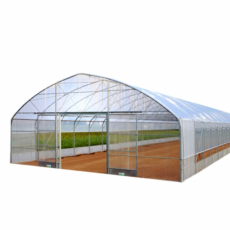 Professional Automated Shade Net Greenhouse Fully Retractable Roof Blackout System Tunnel Greenhouse Designed Plastic