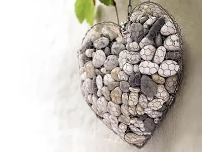Galvanized hexagonal netting  wire mesh for crafts/ photo wall/plant project