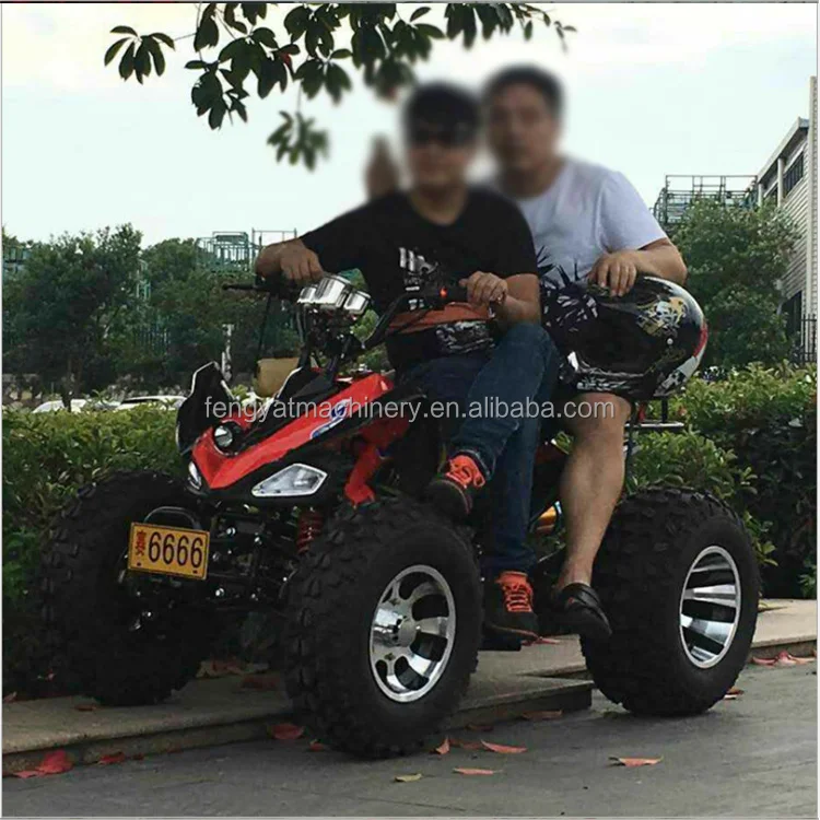 FENGYAT 2 Stroke 49cc Kids Dirt Bike Db10sa With
