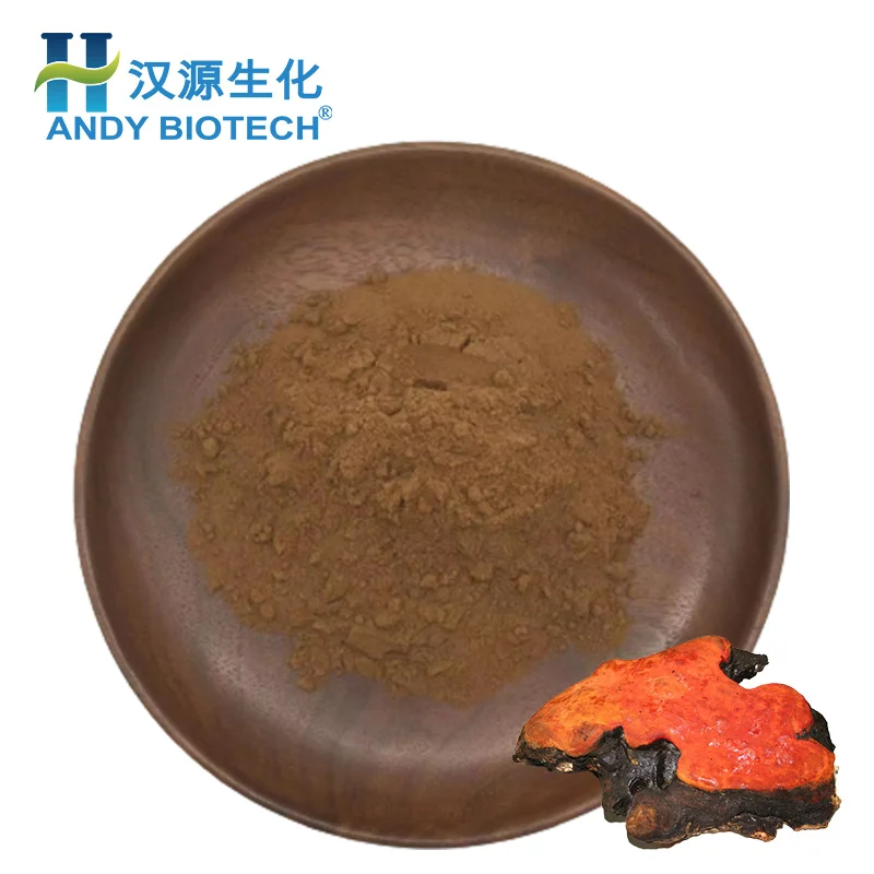 New Batch 20% Polysaccharides Powder Antrodia Cinnamomea Extract Antrodia Camphorata Mushroom Extract