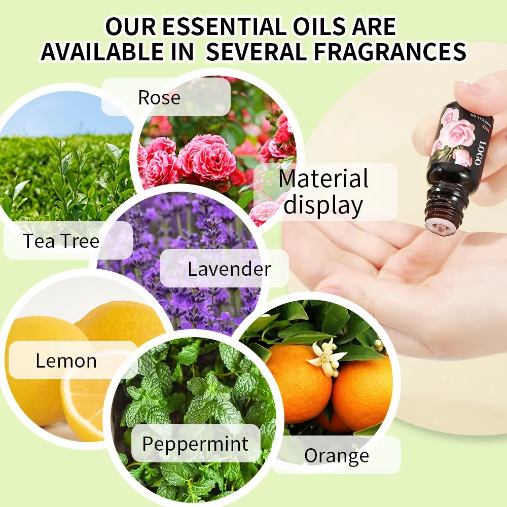Wholesale 10ml Private Label 10 Kinds Flavors 100% Pure Natural Organic Essential Oil