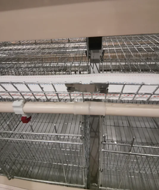 hot sale chicken farm poultry equipment for sale