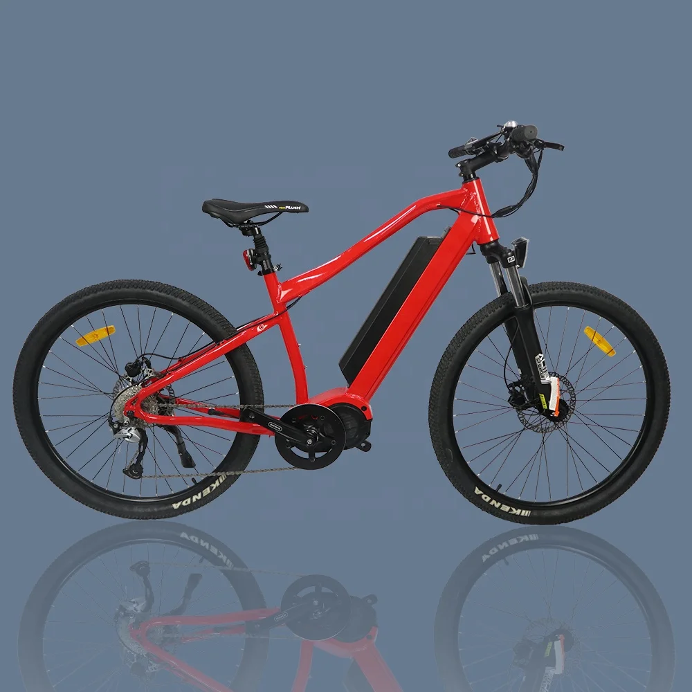 Powerful E Bike 48V 1000W Bafang Ultra Mid Motor Drive Mountain Electric Bike For Off Road Usage