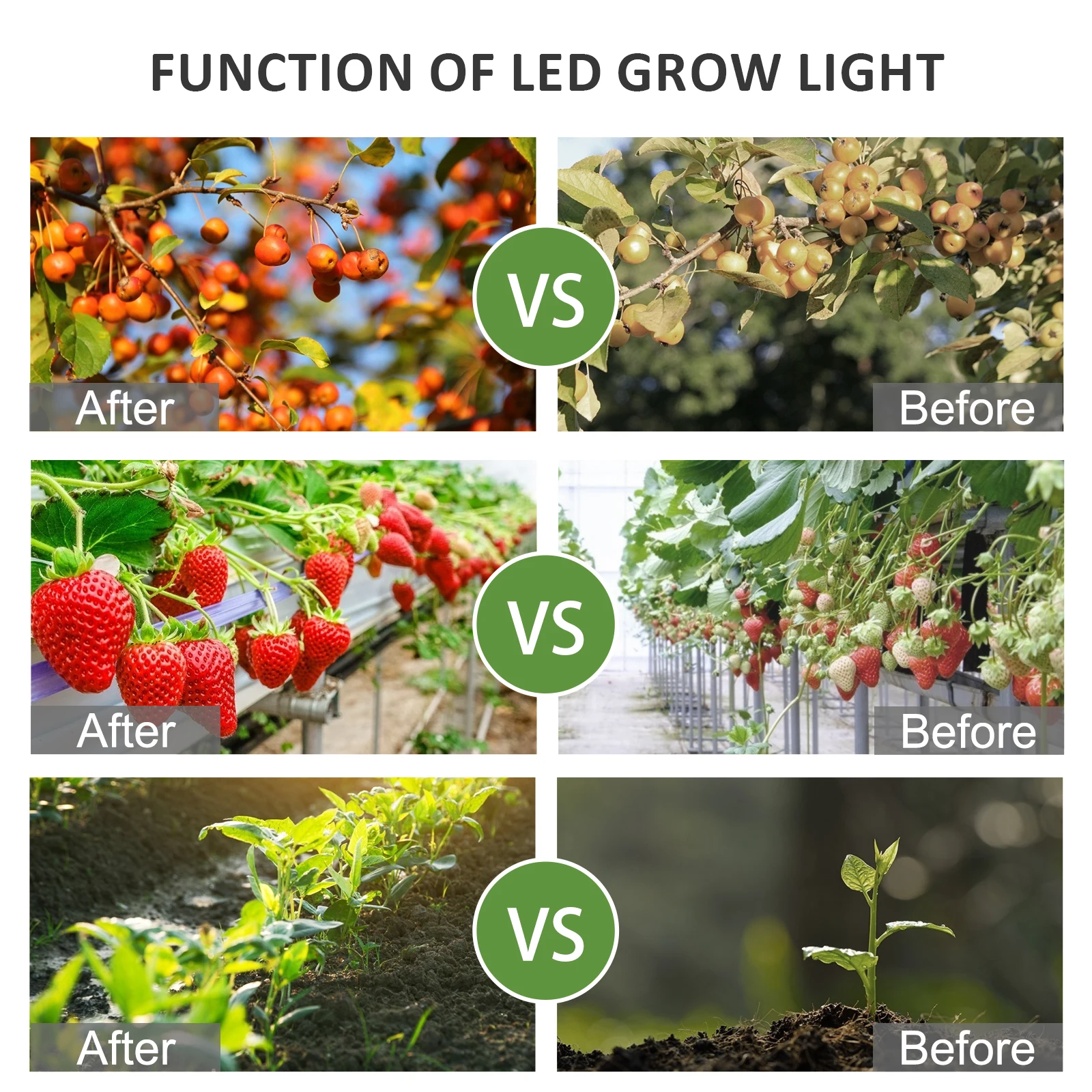 
Double Sided Growlight 640W Hps Plant Growth Light 301b Lm301b Vertical UV COB Led Grow Light Tube For Sale 
