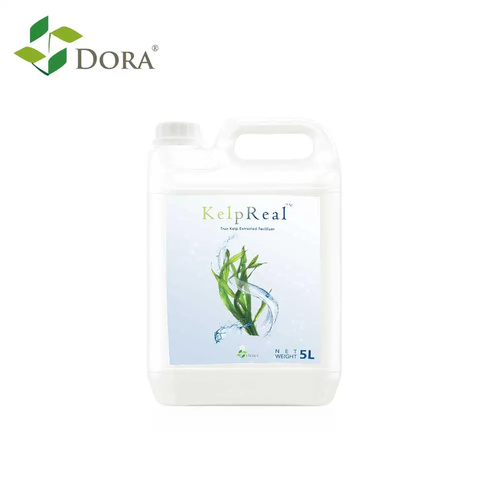 Effective Use of Seaweed KelpReal Fertilizer in Hydroponic Growing