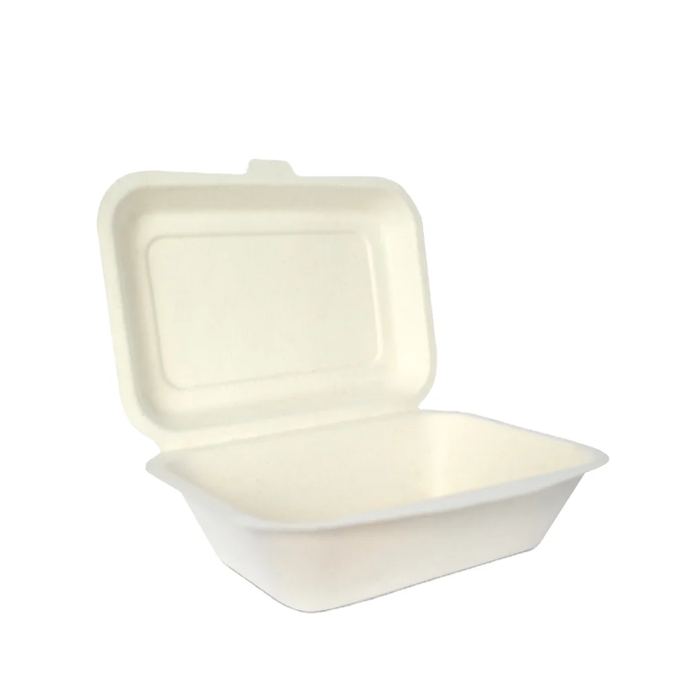 Оптовая продажа экологичный биоразлагаемый контейнер для еды Ланч-бокс из бумага из сахарного тростника из Таиланда