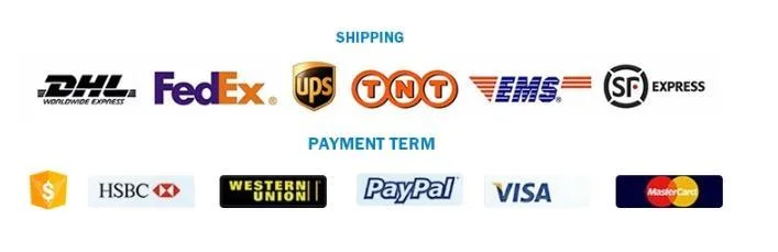 AFL Team clog charms Shoe Charm football Australia sport for decoration