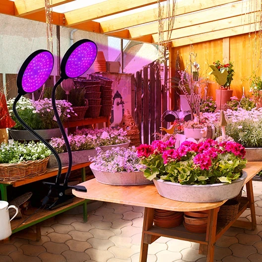 Newest Plant Grow Lights Greenhouse Cultivation Grow Commercial Full Spectrum Led Grow Light For Flower