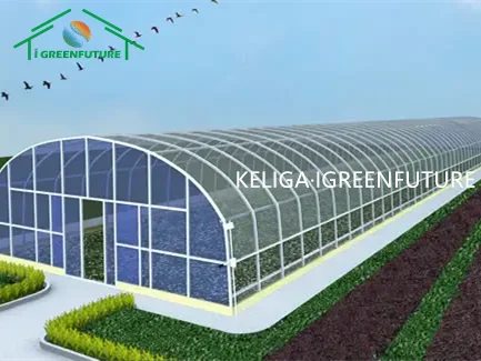 Коммерческая сельскохозяйственная пластиковая 120/150/180/200 микрон пленка для теплицы томатов/перца