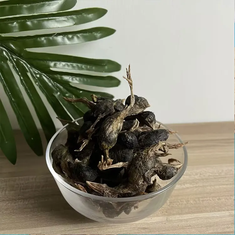 Freeze dried cat snacks Chicken breast cubes Wholesale pet freeze-drying Freeze dried dog food