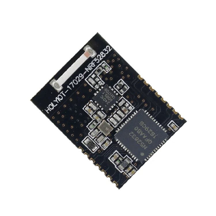 Holyiot Oem/odm Factory Sales Small Size Multi-device Transmission Rf Sigmesh Ad Hoc Network Module