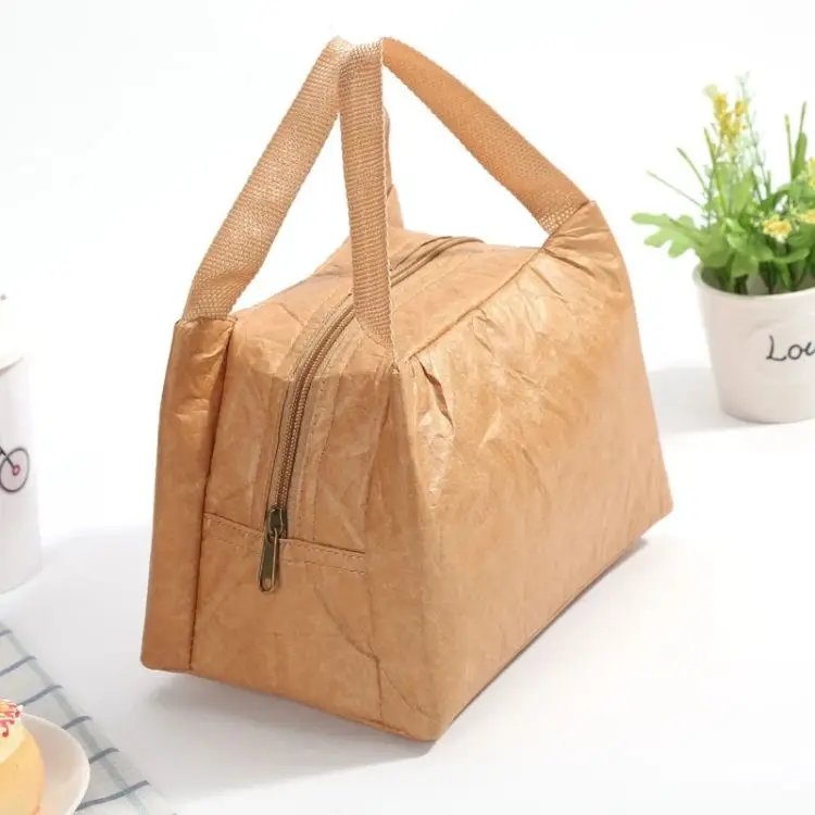 New Design Waterproof Frozen Lunch Bag For Children Dupont Paper Kraft Paper Lunch Bag For Adults
