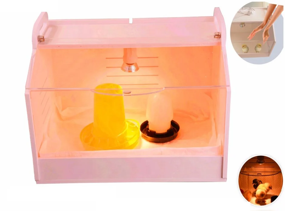 chick breeder warm baby chick poultry farm equipment