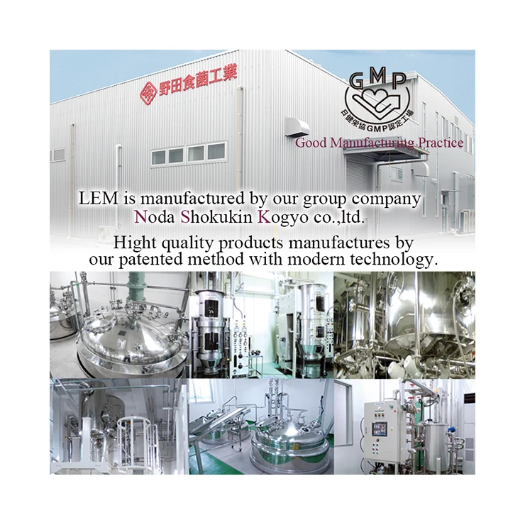 Medical care antioxidation anti-cancer shiitake mushroom mycelium