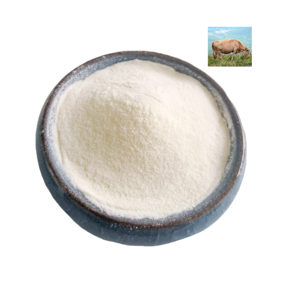 White Odorless Hydrolyzed collagen protein powder