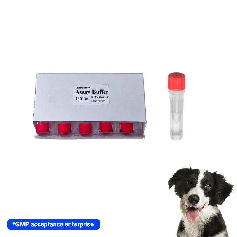 Quickingbio Pet Care Canine CCV Ag Test Kit / Canine Rapid Test / Vet Test Detection Instrument for veterinary detection